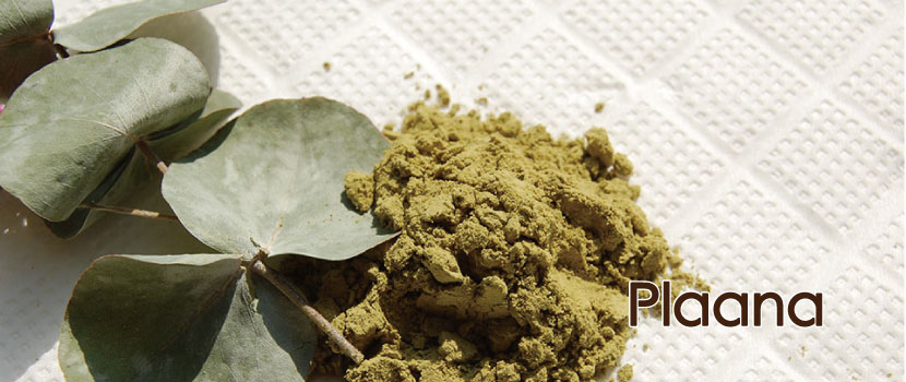 plaana（プラーナ）のスライド画像3